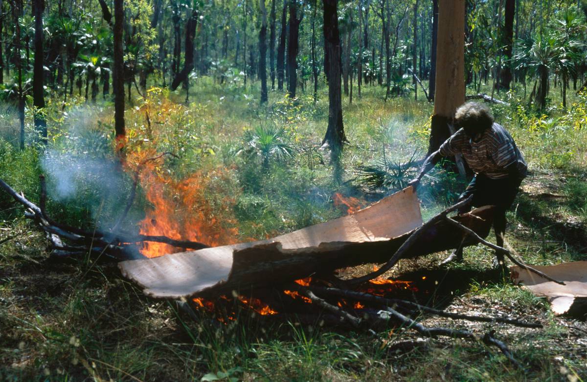 John Mawurndjul prepares barks over a fire