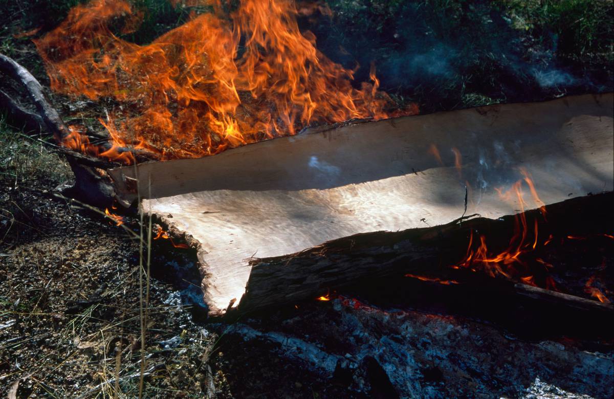 John Mawurndjul prepares barks over a fire