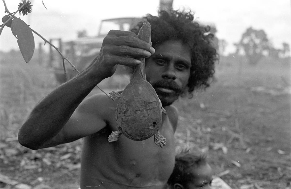 John Mawurndjul with turtle