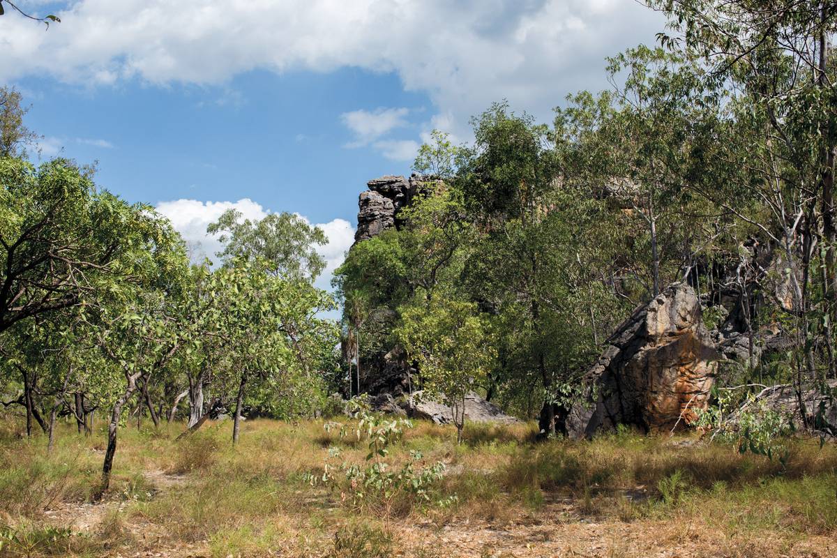 Ngandarrayo, 2017